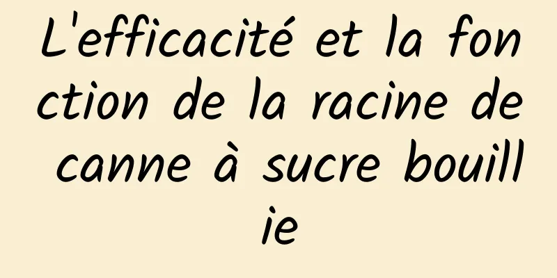 L'efficacité et la fonction de la racine de canne à sucre bouillie