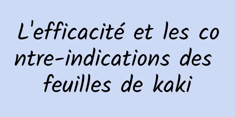 L'efficacité et les contre-indications des feuilles de kaki