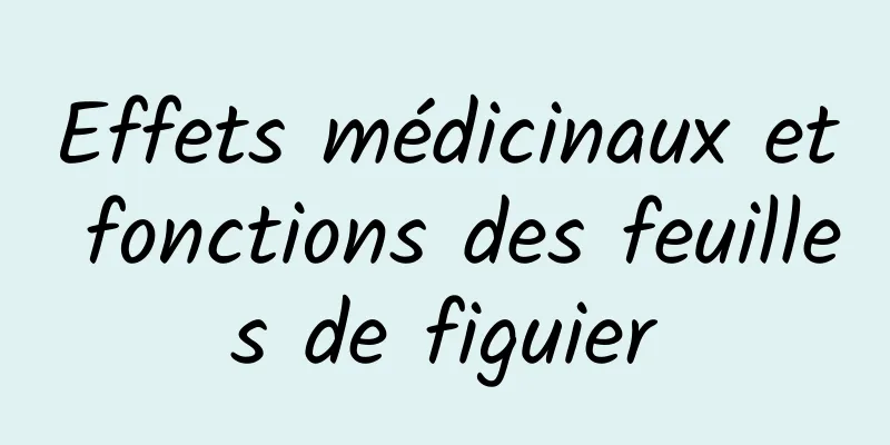 Effets médicinaux et fonctions des feuilles de figuier