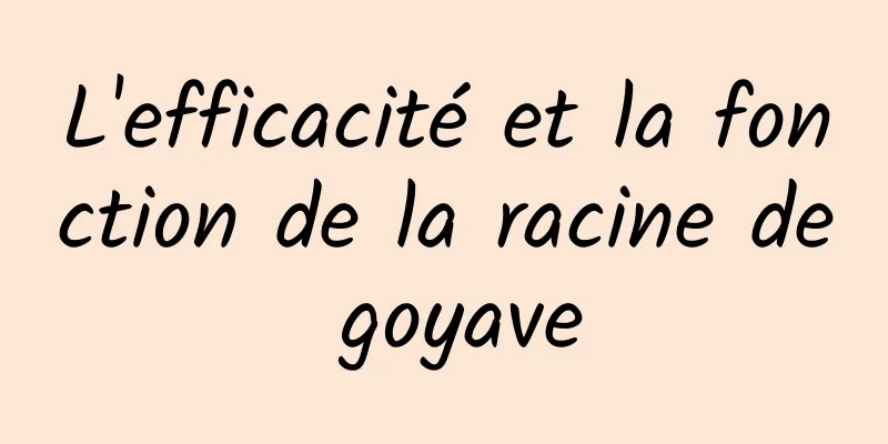 L'efficacité et la fonction de la racine de goyave