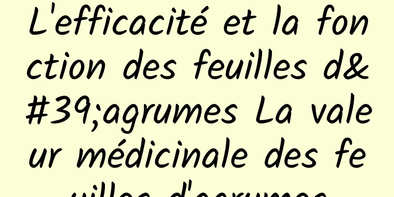 L'efficacité et la fonction des feuilles d'agrumes La valeur médicinale des feuilles d'agrumes