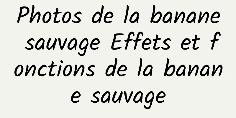 Photos de la banane sauvage Effets et fonctions de la banane sauvage