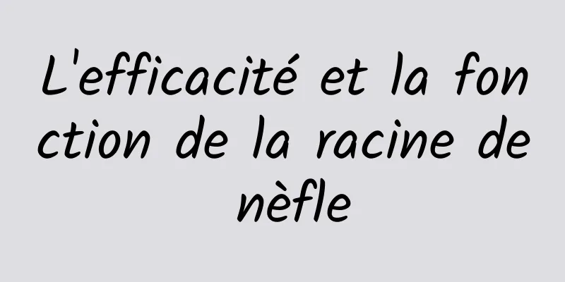 L'efficacité et la fonction de la racine de nèfle