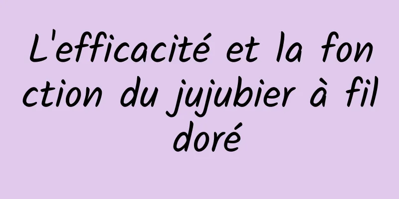 L'efficacité et la fonction du jujubier à fil doré