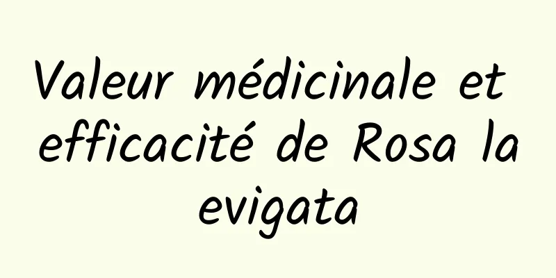 Valeur médicinale et efficacité de Rosa laevigata