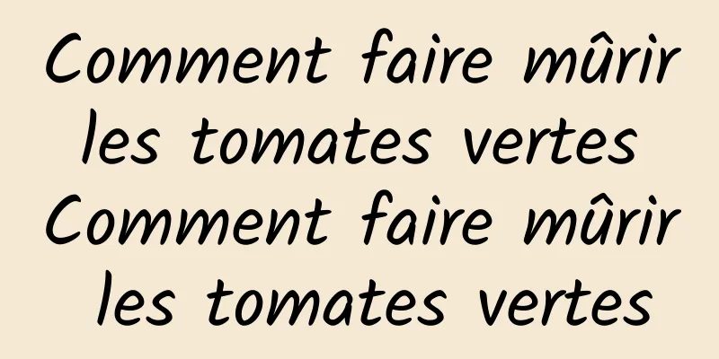 Comment faire mûrir les tomates vertes Comment faire mûrir les tomates vertes