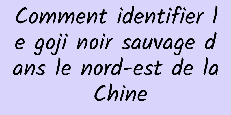 Comment identifier le goji noir sauvage dans le nord-est de la Chine