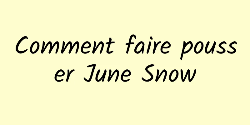 Comment faire pousser June Snow