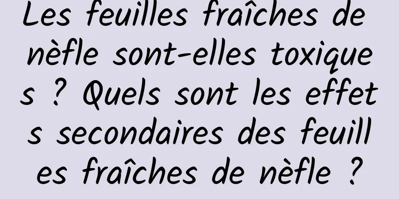 Les feuilles fraîches de nèfle sont-elles toxiques ? Quels sont les effets secondaires des feuilles fraîches de nèfle ?