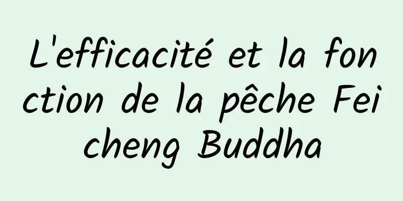 L'efficacité et la fonction de la pêche Feicheng Buddha