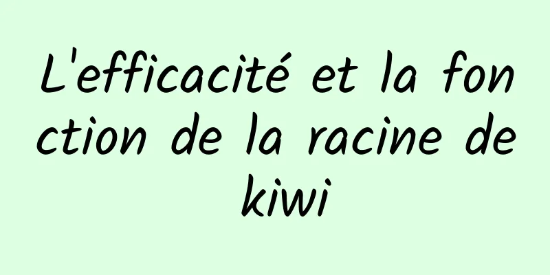 L'efficacité et la fonction de la racine de kiwi