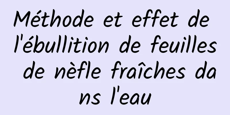 Méthode et effet de l'ébullition de feuilles de nèfle fraîches dans l'eau