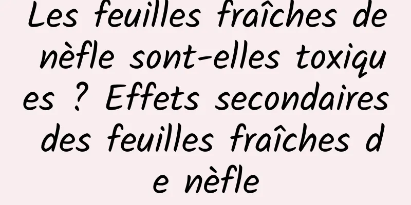 Les feuilles fraîches de nèfle sont-elles toxiques ? Effets secondaires des feuilles fraîches de nèfle