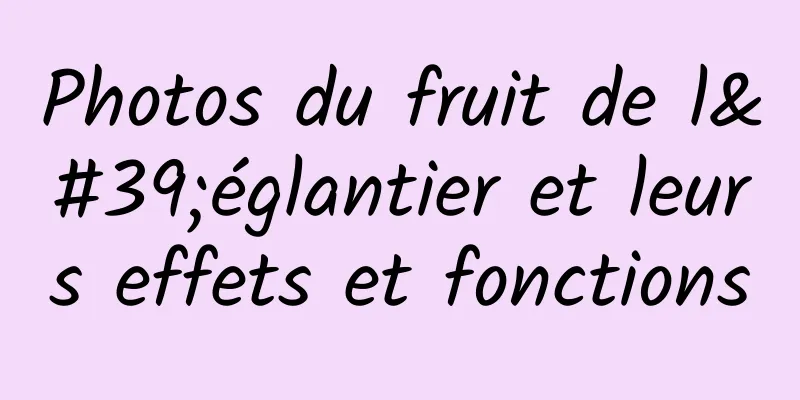 Photos du fruit de l'églantier et leurs effets et fonctions