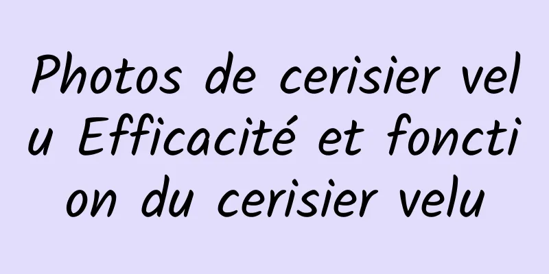 Photos de cerisier velu Efficacité et fonction du cerisier velu