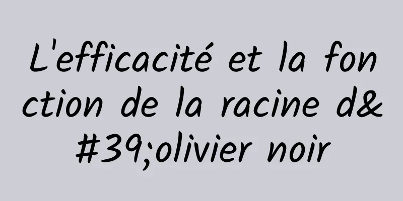 L'efficacité et la fonction de la racine d'olivier noir