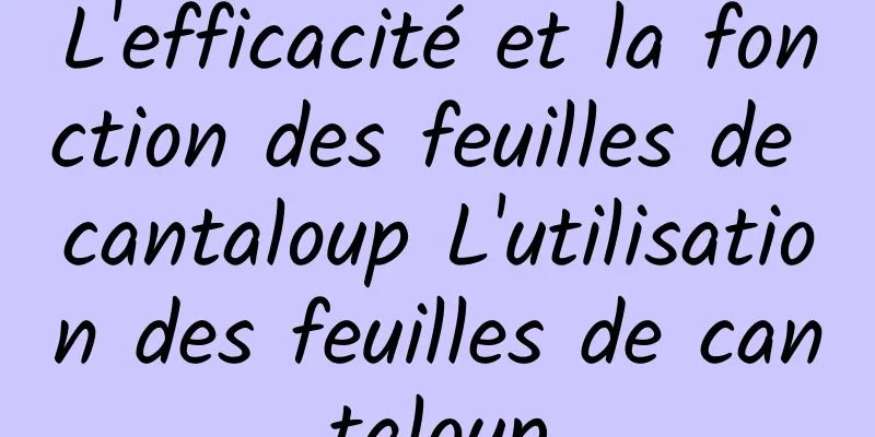 L'efficacité et la fonction des feuilles de cantaloup L'utilisation des feuilles de cantaloup