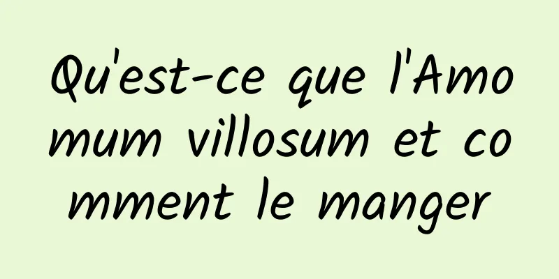 Qu'est-ce que l'Amomum villosum et comment le manger