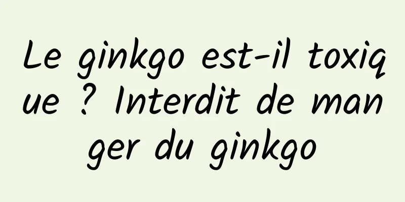 Le ginkgo est-il toxique ? Interdit de manger du ginkgo