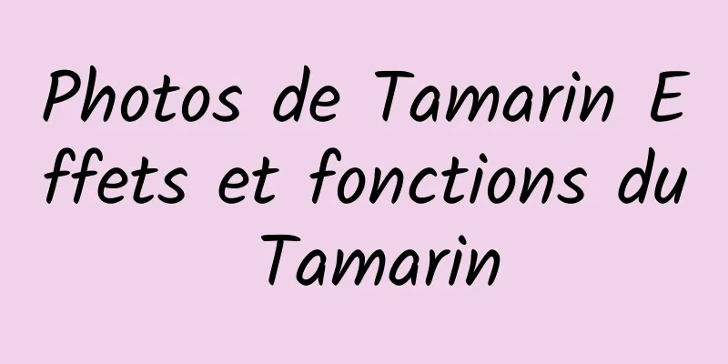 Photos de Tamarin Effets et fonctions du Tamarin