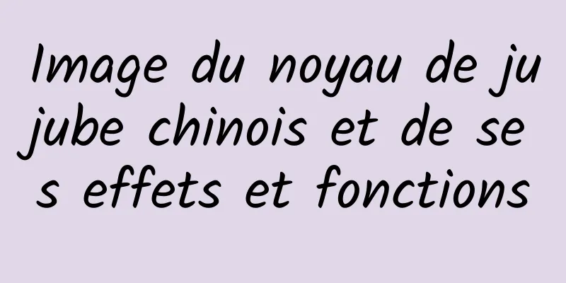 Image du noyau de jujube chinois et de ses effets et fonctions