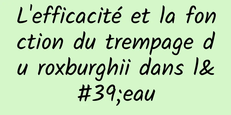 L'efficacité et la fonction du trempage du roxburghii dans l'eau