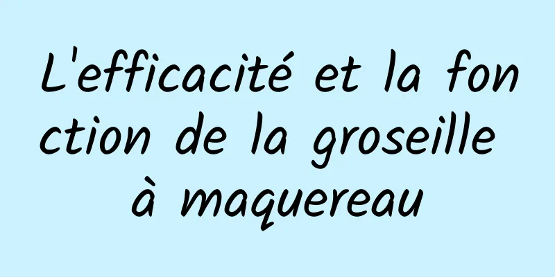 L'efficacité et la fonction de la groseille à maquereau