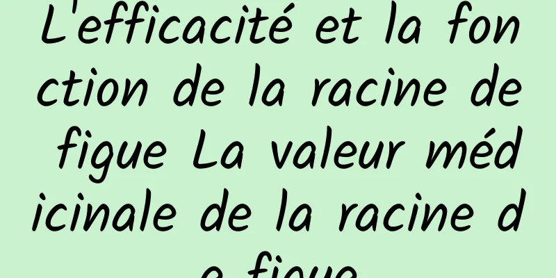 L'efficacité et la fonction de la racine de figue La valeur médicinale de la racine de figue