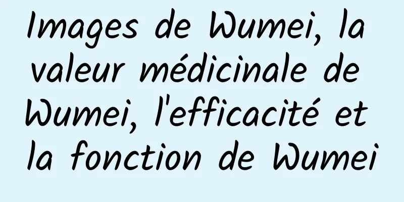 Images de Wumei, la valeur médicinale de Wumei, l'efficacité et la fonction de Wumei