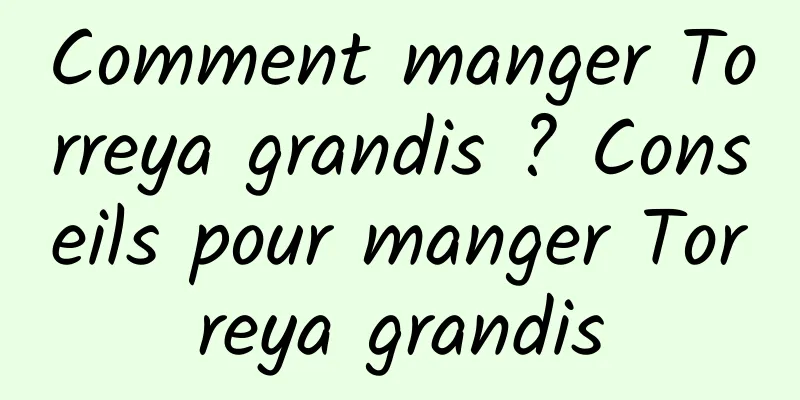 Comment manger Torreya grandis ? Conseils pour manger Torreya grandis