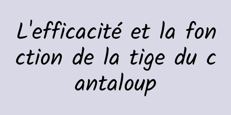 L'efficacité et la fonction de la tige du cantaloup