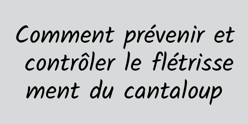 Comment prévenir et contrôler le flétrissement du cantaloup