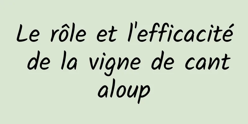 Le rôle et l'efficacité de la vigne de cantaloup