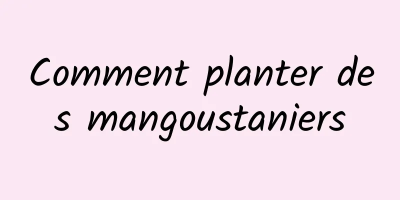 Comment planter des mangoustaniers