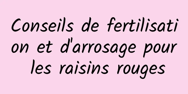 Conseils de fertilisation et d'arrosage pour les raisins rouges