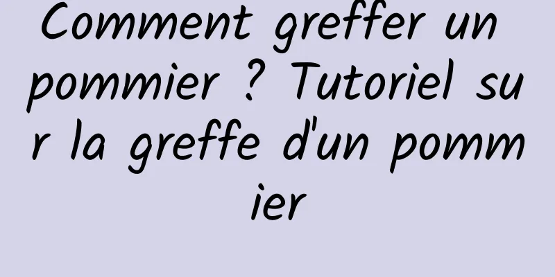 Comment greffer un pommier ? Tutoriel sur la greffe d'un pommier