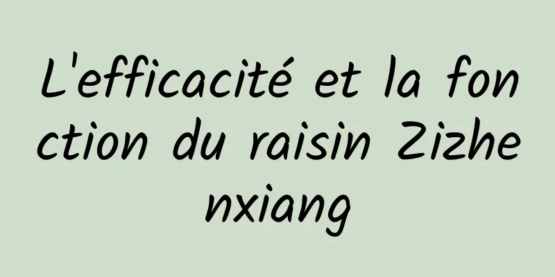 L'efficacité et la fonction du raisin Zizhenxiang