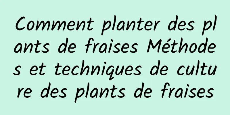 Comment planter des plants de fraises Méthodes et techniques de culture des plants de fraises