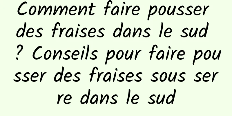 Comment faire pousser des fraises dans le sud ? Conseils pour faire pousser des fraises sous serre dans le sud