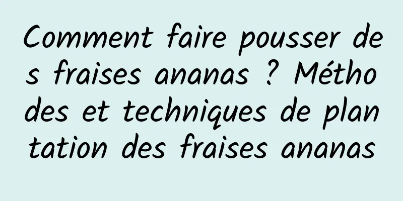 Comment faire pousser des fraises ananas ? Méthodes et techniques de plantation des fraises ananas