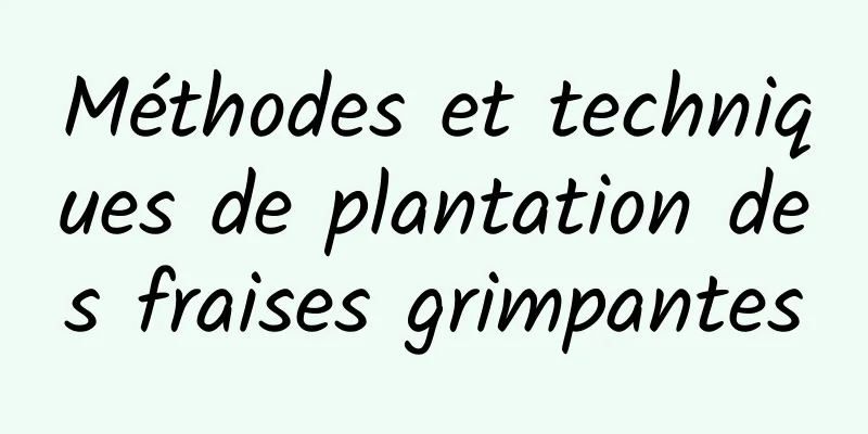 Méthodes et techniques de plantation des fraises grimpantes