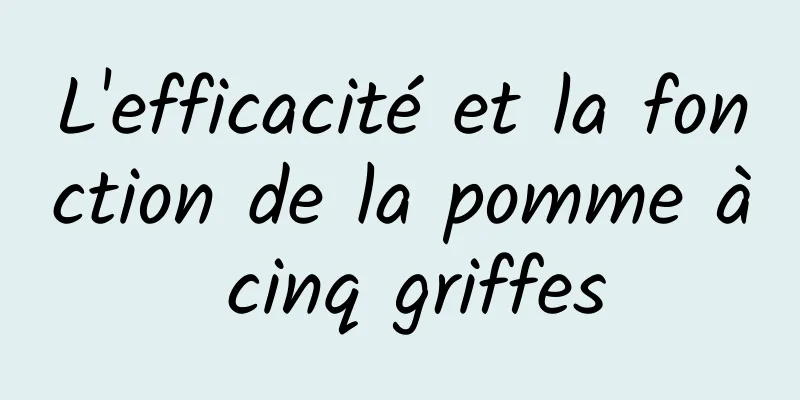 L'efficacité et la fonction de la pomme à cinq griffes