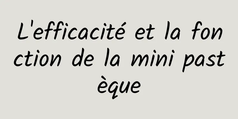 L'efficacité et la fonction de la mini pastèque