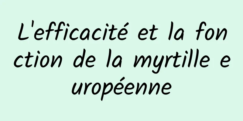 L'efficacité et la fonction de la myrtille européenne