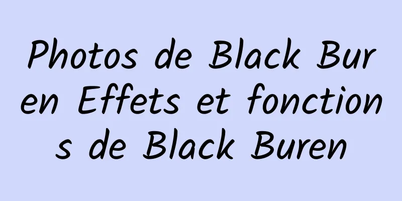 Photos de Black Buren Effets et fonctions de Black Buren