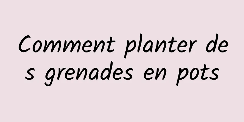 Comment planter des grenades en pots