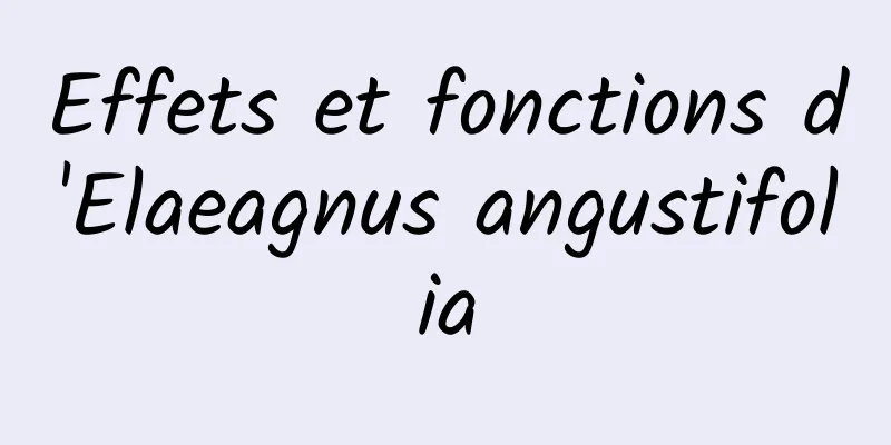 Effets et fonctions d'Elaeagnus angustifolia