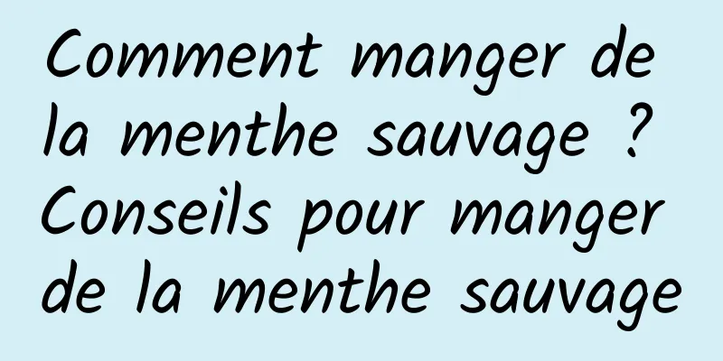 Comment manger de la menthe sauvage ? Conseils pour manger de la menthe sauvage