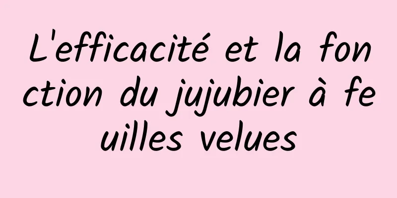 L'efficacité et la fonction du jujubier à feuilles velues