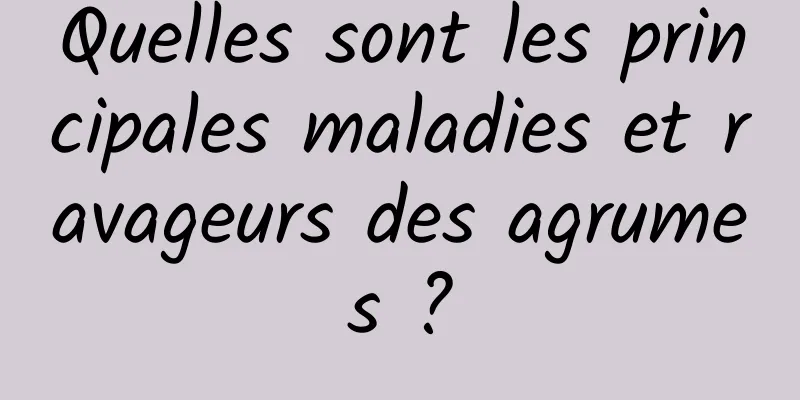 Quelles sont les principales maladies et ravageurs des agrumes ?